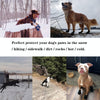 Bottes pour chiens toutes saisons pour des aventures en toute sécurité
