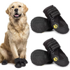 Bottes pour chiens toutes saisons pour des aventures en toute sécurité
