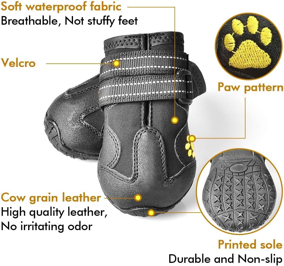 Bottes pour chiens toutes saisons pour des aventures en toute sécurité