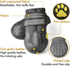 Bottes pour chiens toutes saisons pour des aventures en toute sécurité
