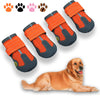 Bottes pour chiens toutes saisons pour des aventures en toute sécurité