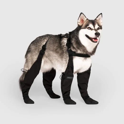 Bottes pour des aventures en plein air en toute sécurité – PawShield