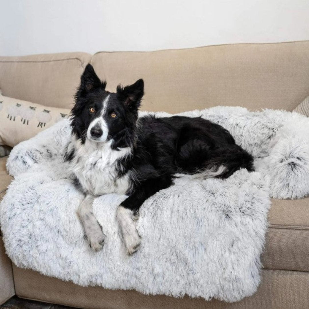 Canapé de Luxe pour Chiens - PawLounge