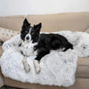 Canapé de Luxe pour Chiens - PawLounge