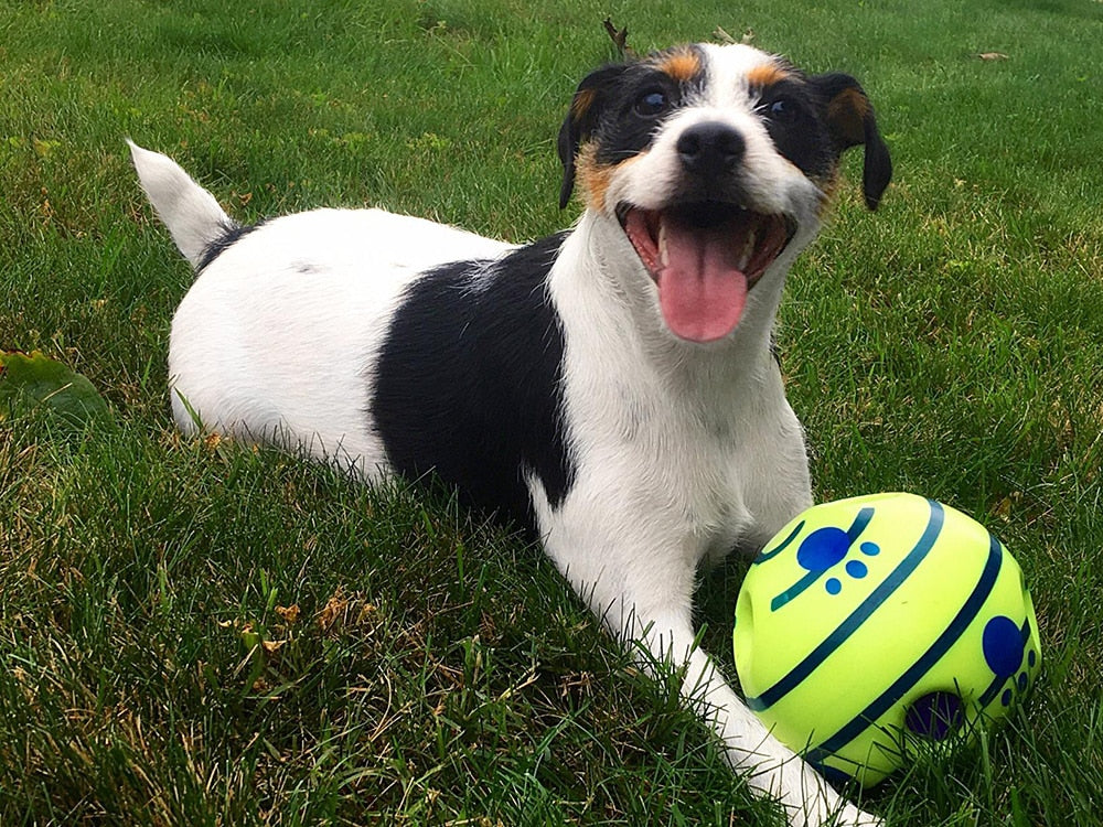 Balle de jeu interactive pour chiens - GiggleSphere