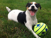 Balle de jeu interactive pour chiens - GiggleSphere