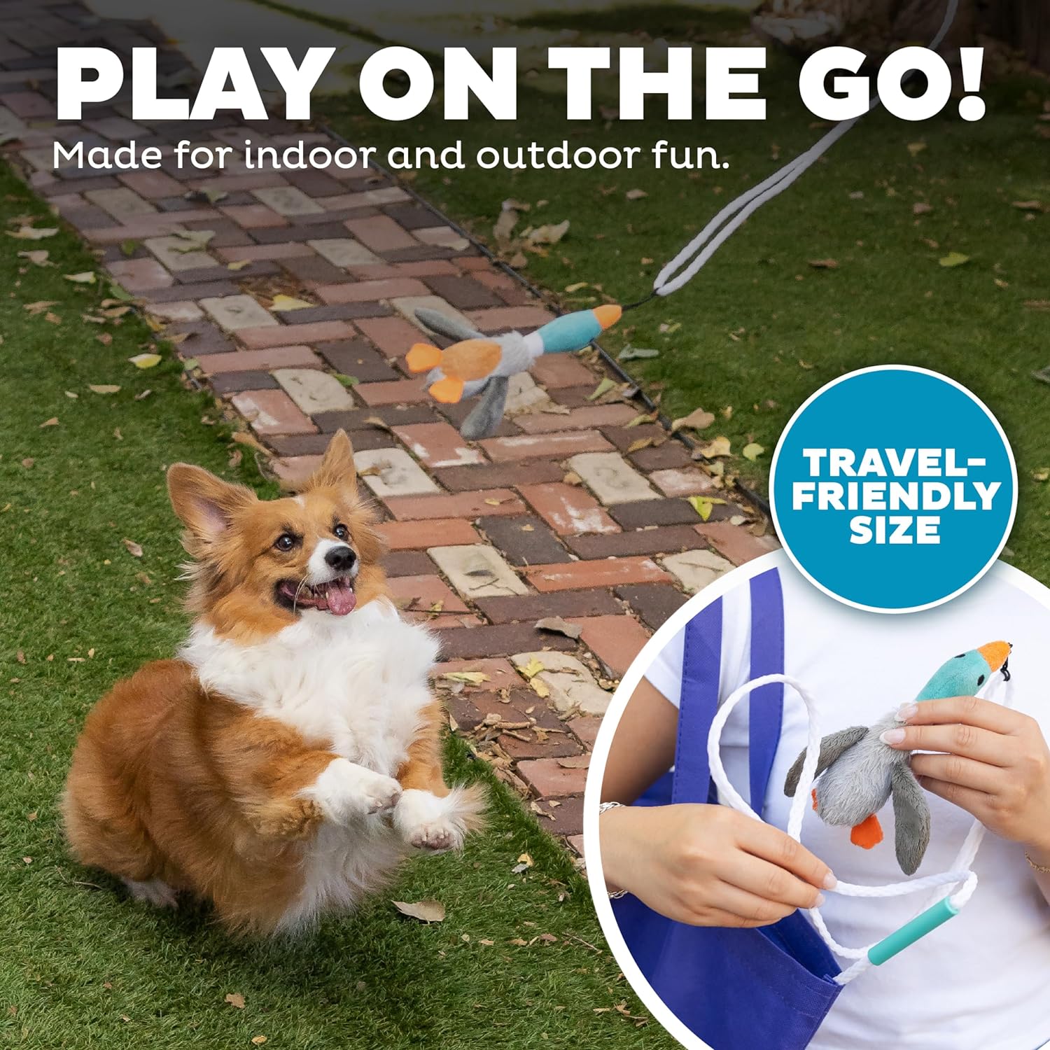 Bâton de Jeu Tail Teaser pour Chien - Parfait pour le Jeu et le Mouvement !