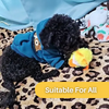 Canard Flottant Jouet pour Chat – DuckDash™ (1+1 GRATUIT)