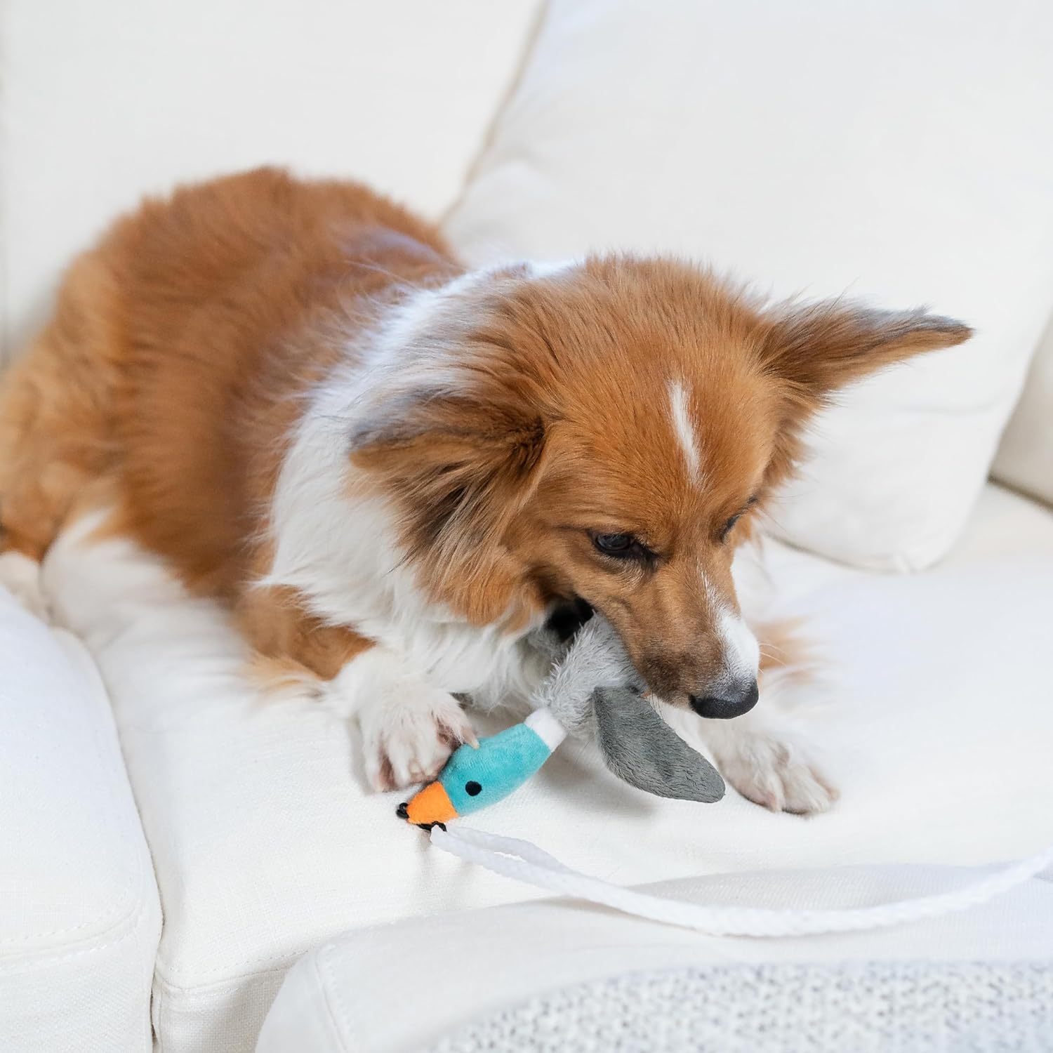 Bâton de Jeu Tail Teaser pour Chien - Parfait pour le Jeu et le Mouvement !