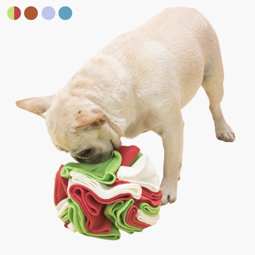 Balle à renifler pour chiens - PawMaze