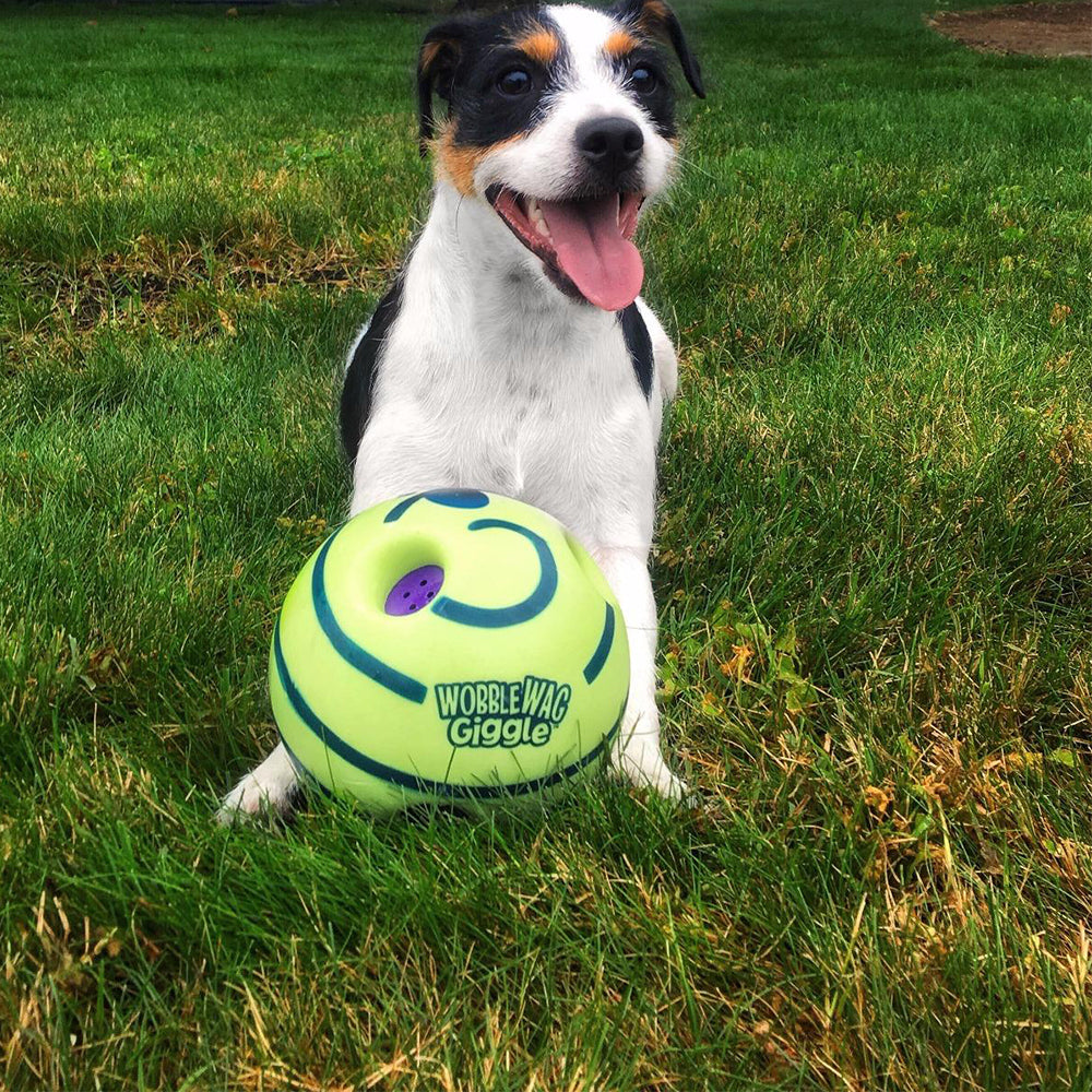 Balle de jeu interactive pour chiens - GiggleSphere