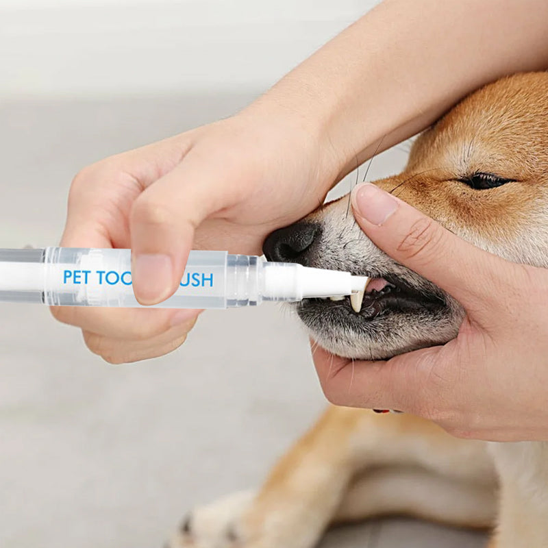 Stylo brosse à dents pour animaux - PetSmile
