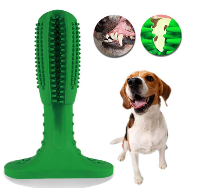 Brosse à dents pour chien - ChewyClean