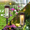 Moderne & Luxueuse Éclairage Solaire de Chemin - LumiPath