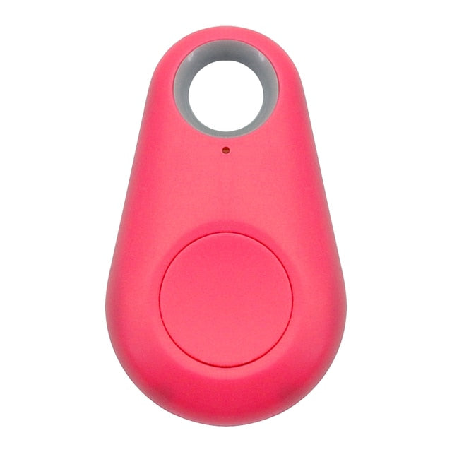 Traceur GPS pour animaux - PawFinder