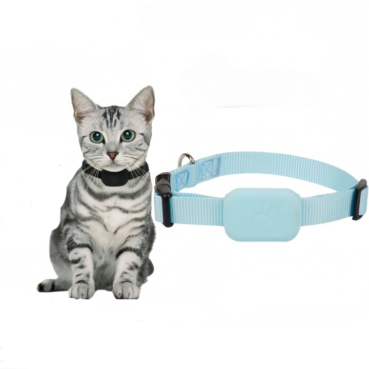 Traceur GPS pour Animaux de Compagnie - Collier Fiable