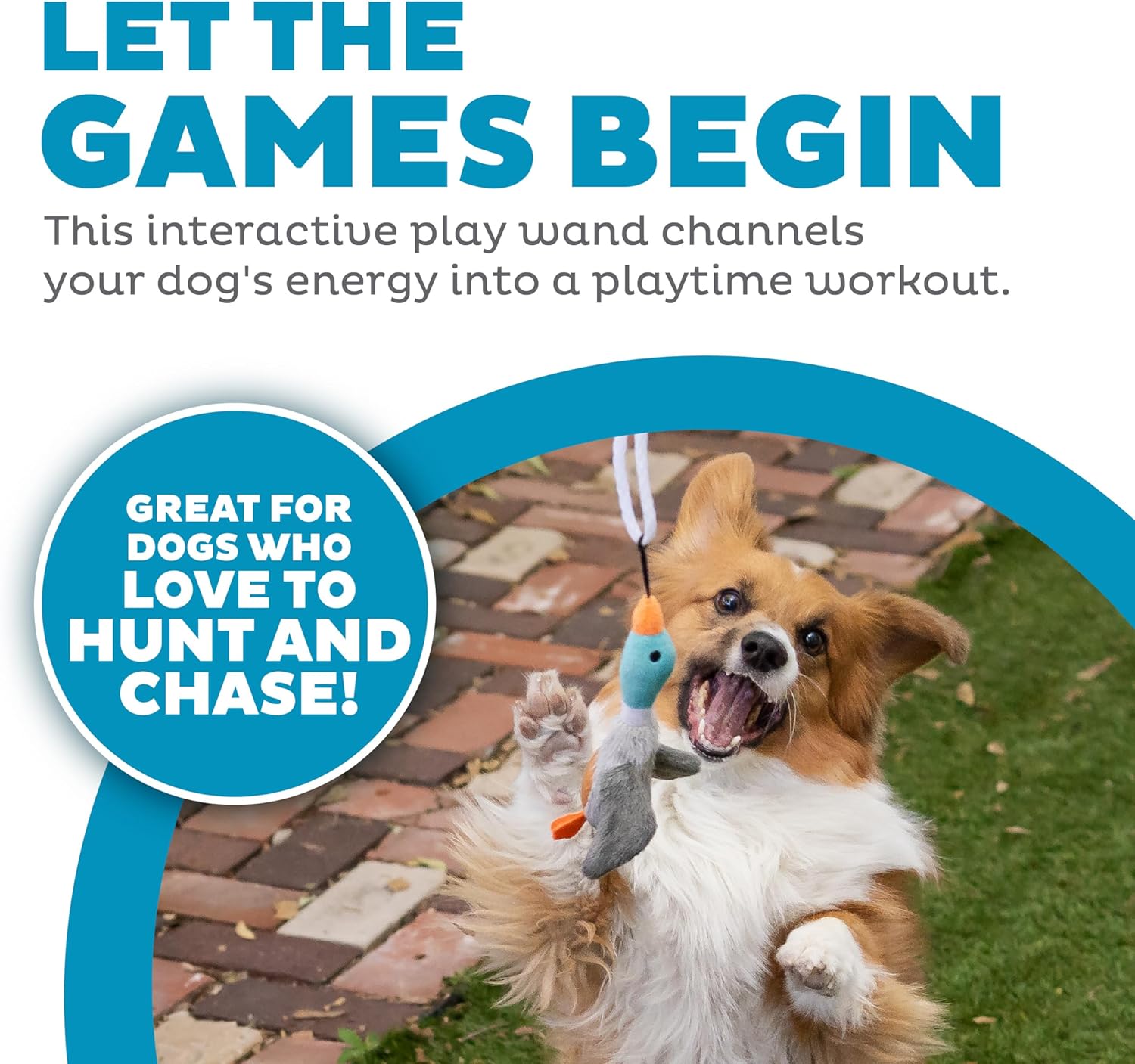Bâton de Jeu Tail Teaser pour Chien - Parfait pour le Jeu et le Mouvement !