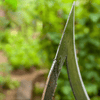 TerraElite Houe Professionnelle pour l'Architecture Paysagère | Outil durable et puissant pour des transformations de jardin parfaites
