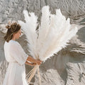 Jonathan | Décoration Naturelle avec Plumes de Pampas Séchées