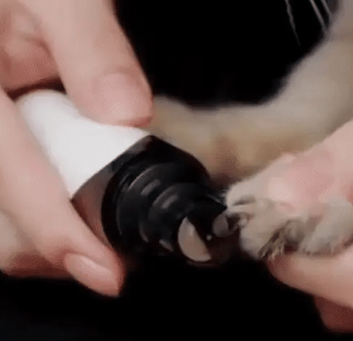 Aide électrique à la coupe des ongles pour chiens – PawTrim