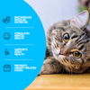 Tapis de jeu aquatique interactif pour chats - AquaPaws