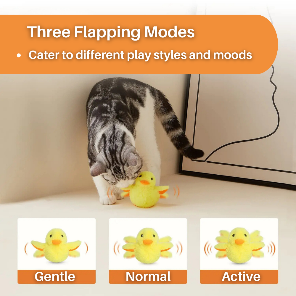 Canard Flottant Jouet pour Chat – DuckDash™ (1+1 GRATUIT)
