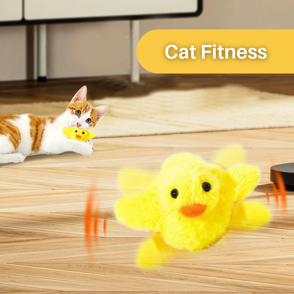 Canard Flottant Jouet pour Chat – DuckDash™ (1+1 GRATUIT)