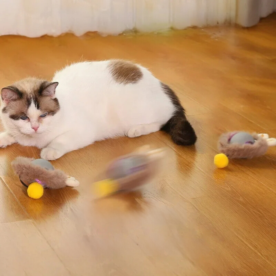 Balle de chasse interactive pour chats - PouncePal