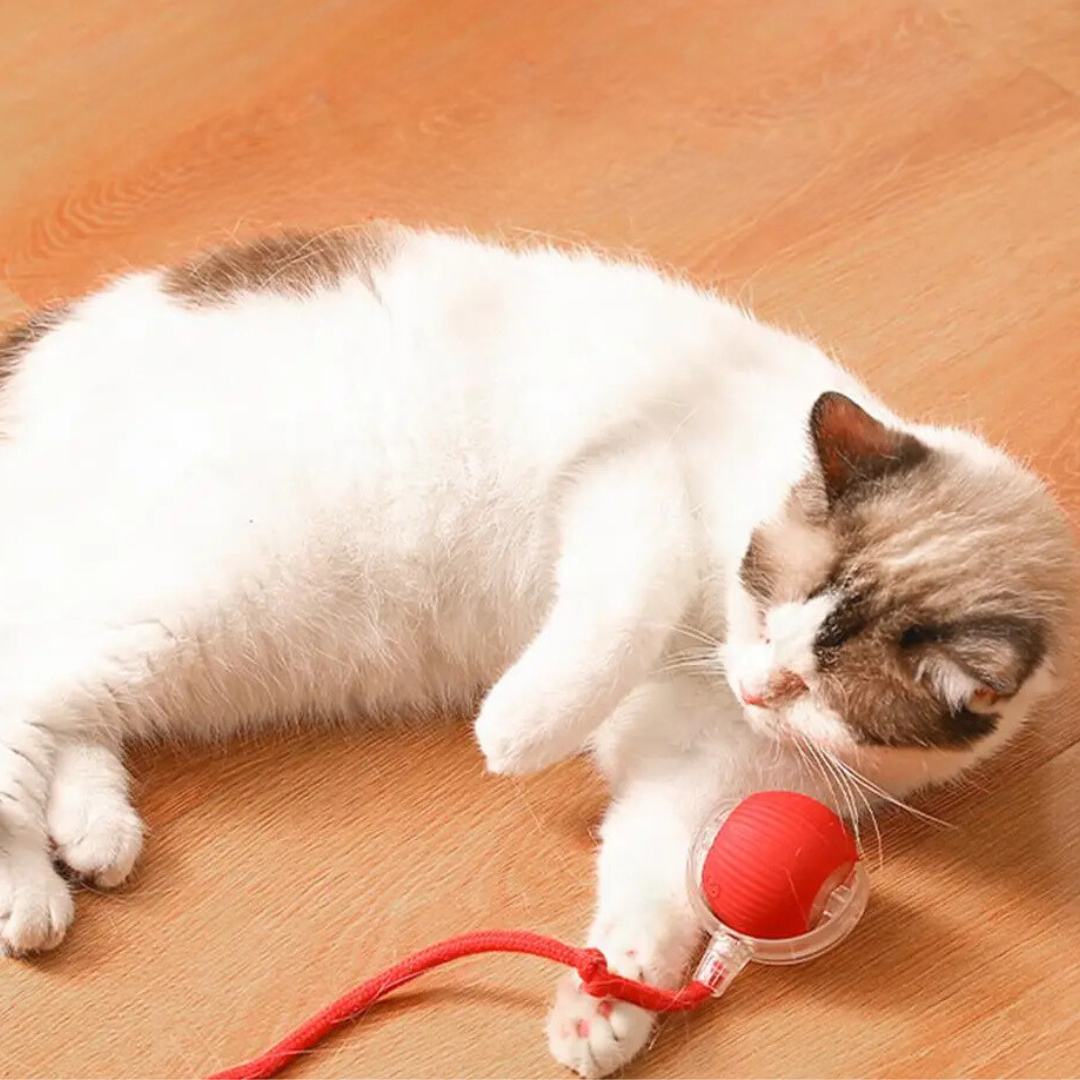 Balle de chasse interactive pour chats - PouncePal