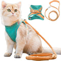 Harnais pour chat – Oscar
