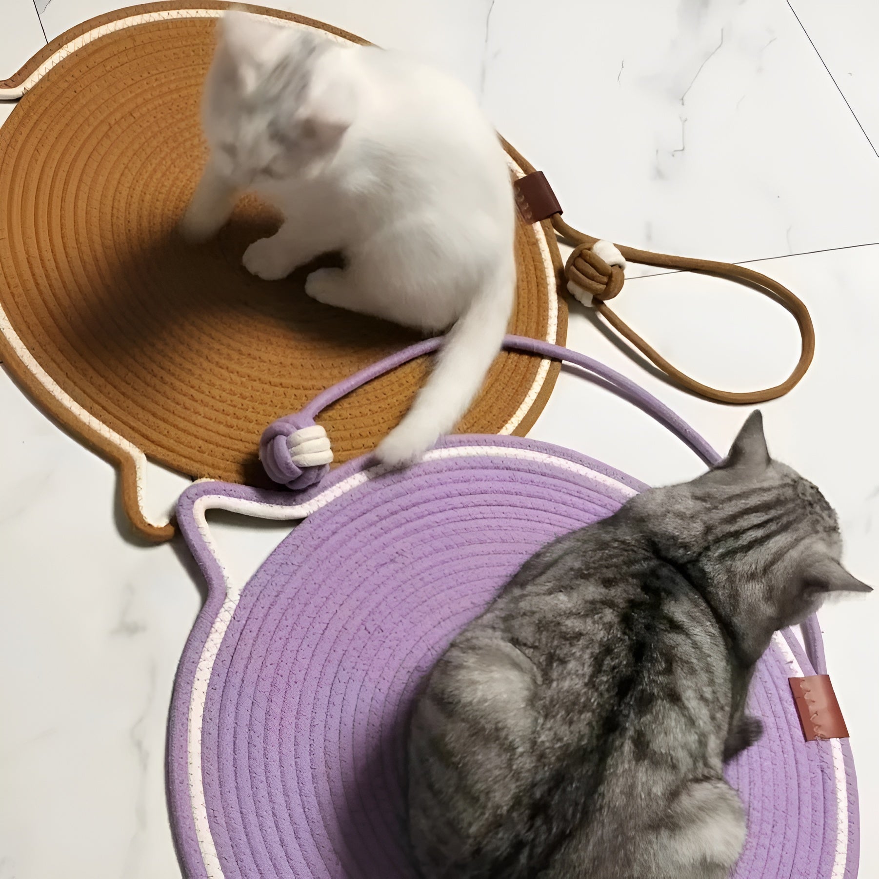 Tapis à gratter en coton pour chats - ClawGuard