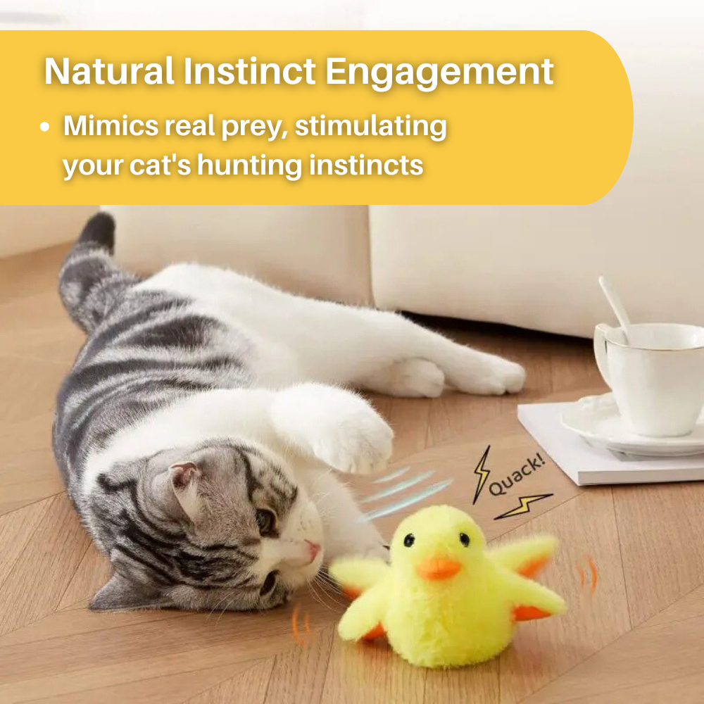 Canard Flottant Jouet pour Chat – DuckDash™ (1+1 GRATUIT)