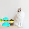 Station de grattage et de jeu pour chats - TwirlPaws