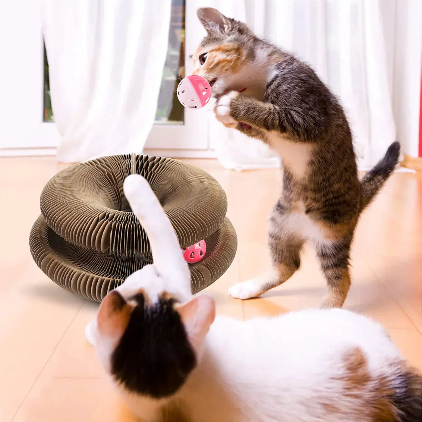 Amusement actif pour votre chat - PurrFit