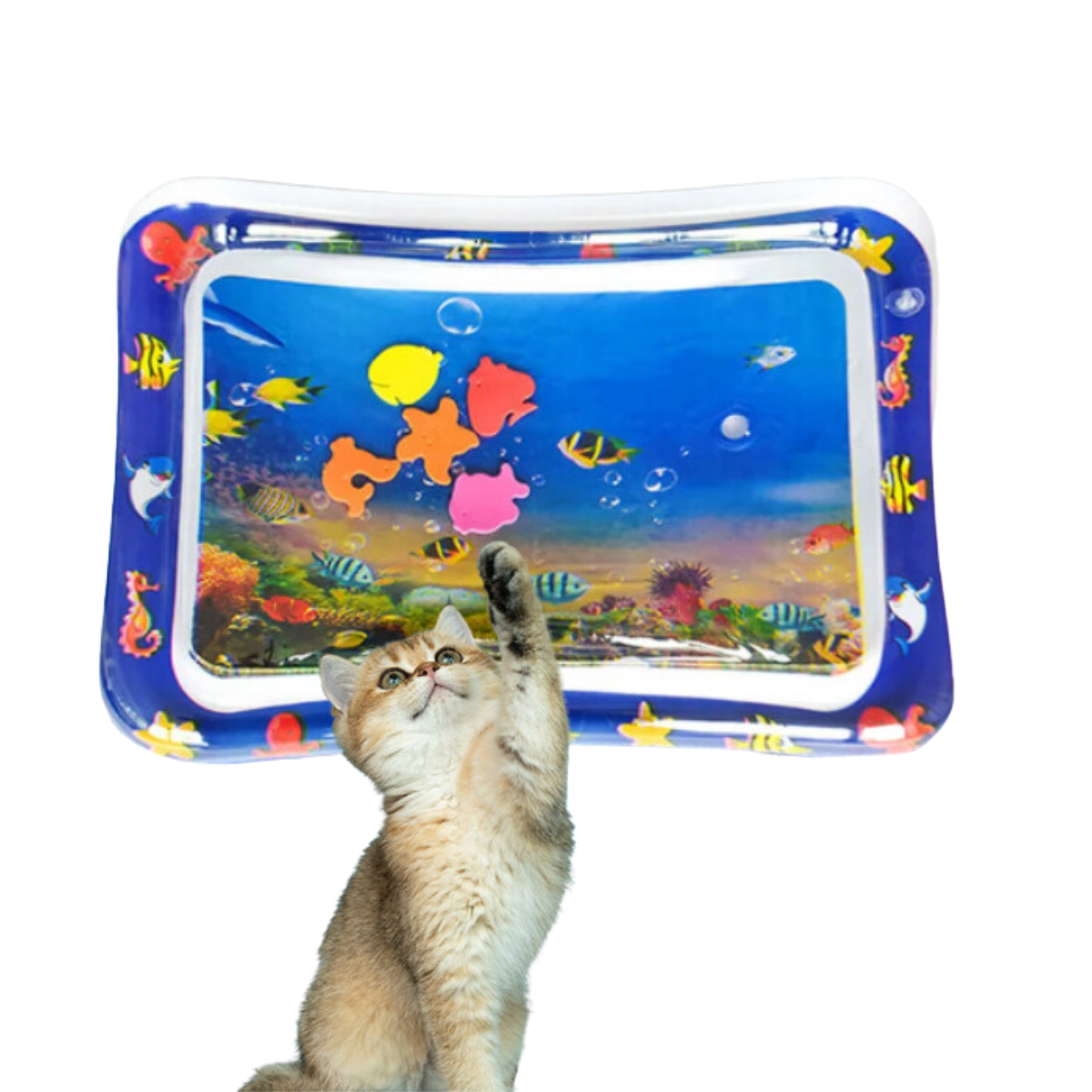 Tapis de jeu aquatique interactif pour chats - AquaPaws