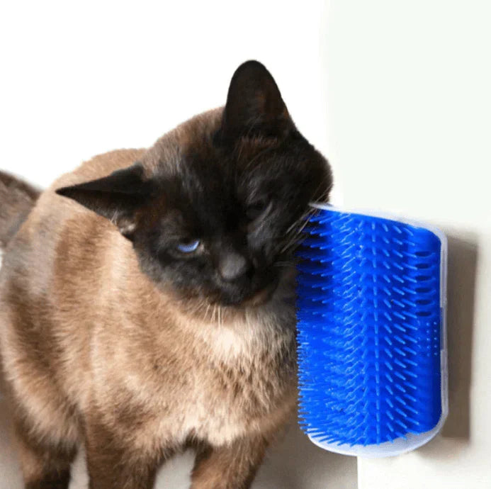 Brosse d'angle pour chats - PurrGroom