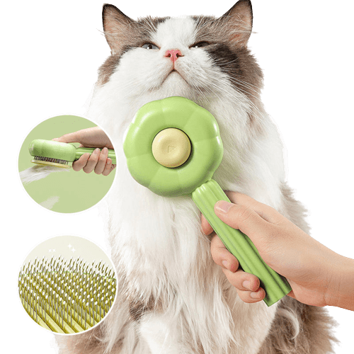 Brosse à chat auto-nettoyante - PurrfectBrush