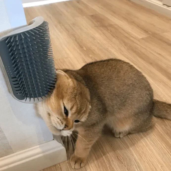 Brosse d'angle pour chats - PurrGroom