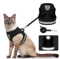 Harnais pour chat avec laisse - AdventureKit