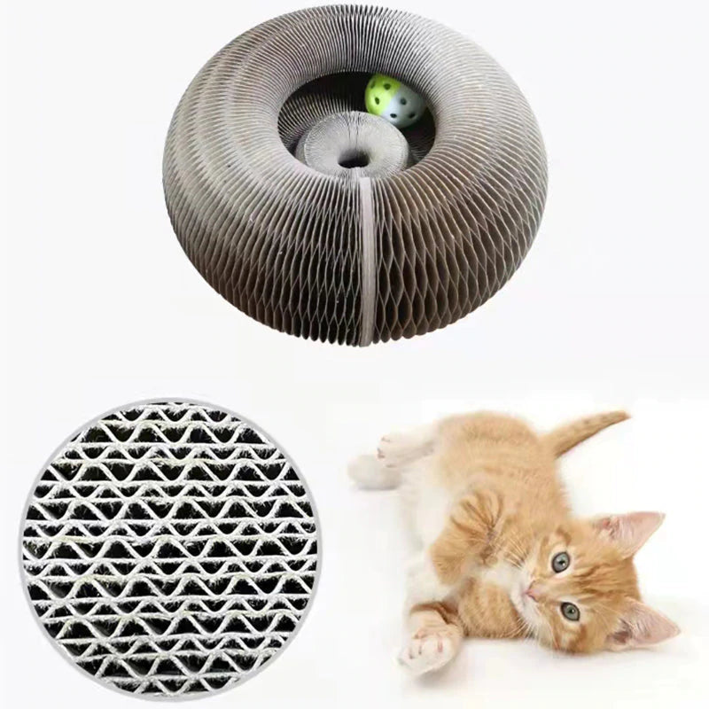 Amusement actif pour votre chat - PurrFit