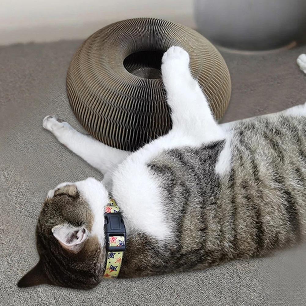 Amusement actif pour votre chat - PurrFit
