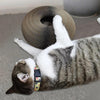 Amusement actif pour votre chat - PurrFit