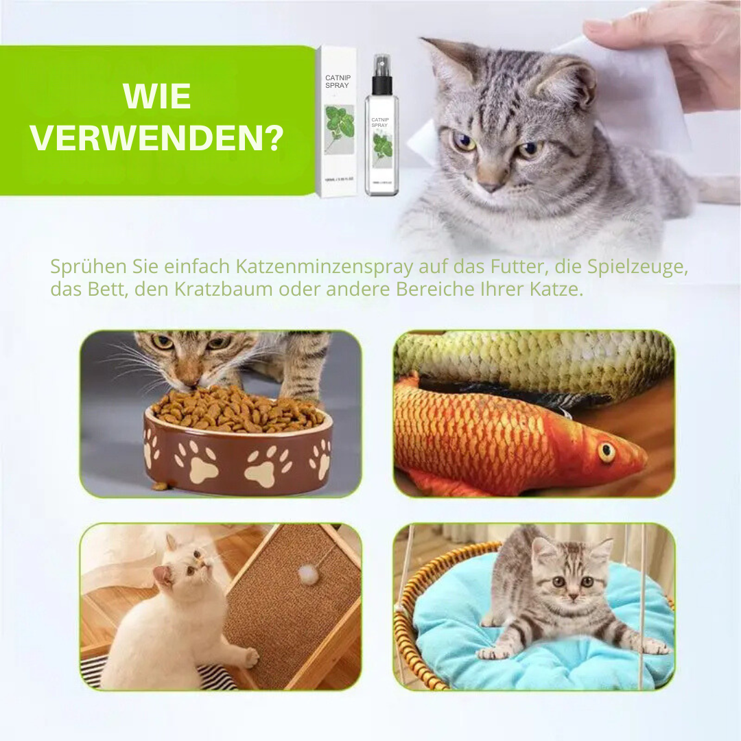 Spray apaisant pour chats - Spray SilverVine Bliss