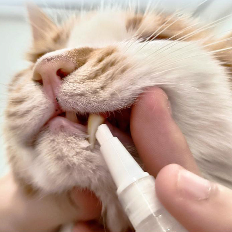 Stylo brosse à dents pour animaux - PetSmile
