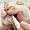 Stylo brosse à dents pour animaux - PetSmile