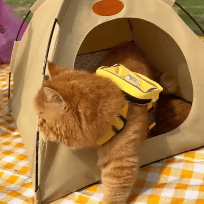 Tente rafraîchissante pour chats - CoolCat Retreat