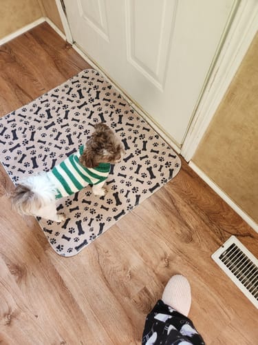 Tapis pour animaux sans fuite – Tapis de confort PetPaws