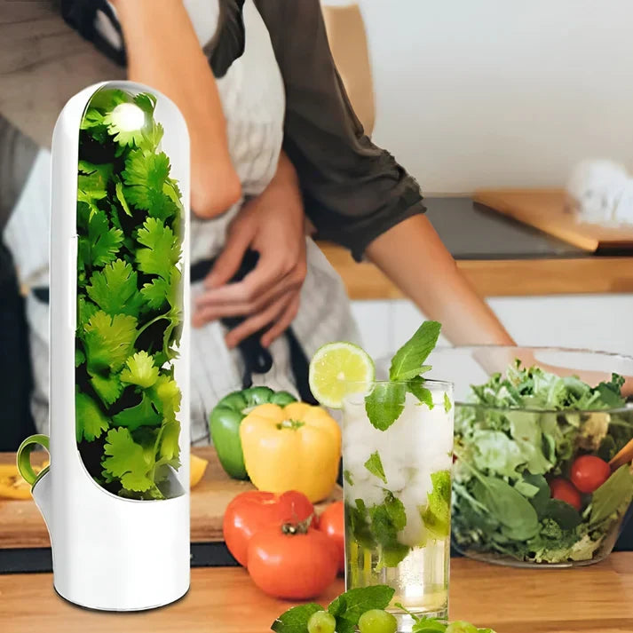 Boîte de conservation des herbes – FreshKeep
