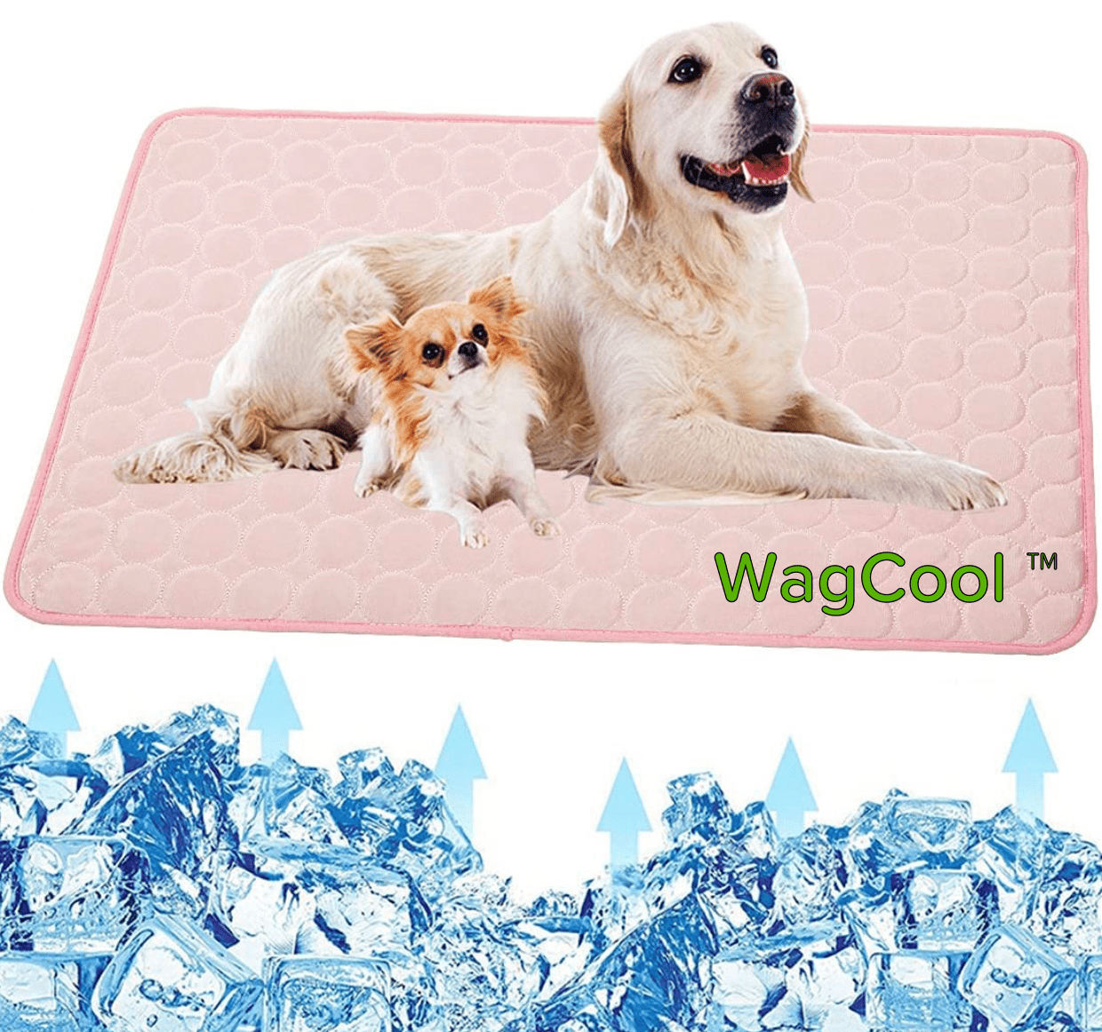 Tapis rafraîchissant pour chien - Tapis CoolPet