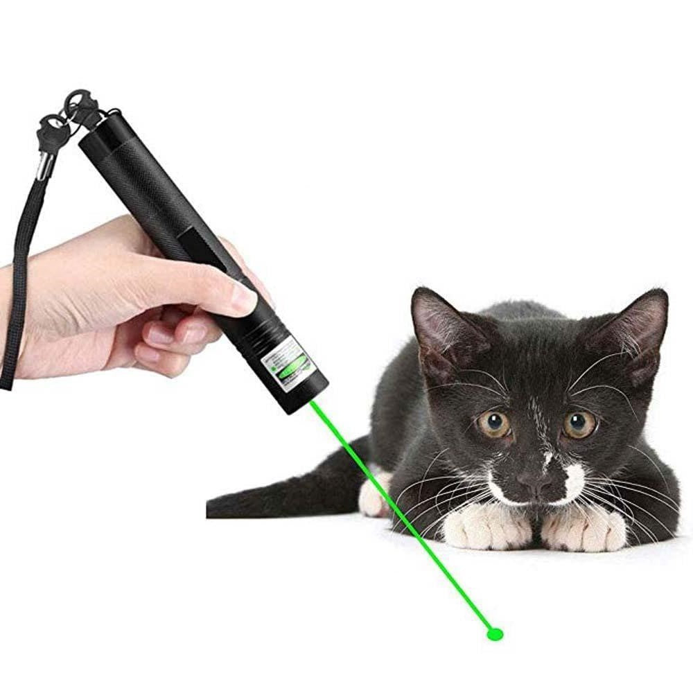 BeamForce 303 Laserpointer | Laserpointer | Puissante laser verte pour présentations ou extérieur